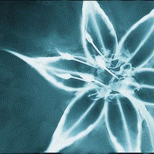 Meet your Posher, Cameron